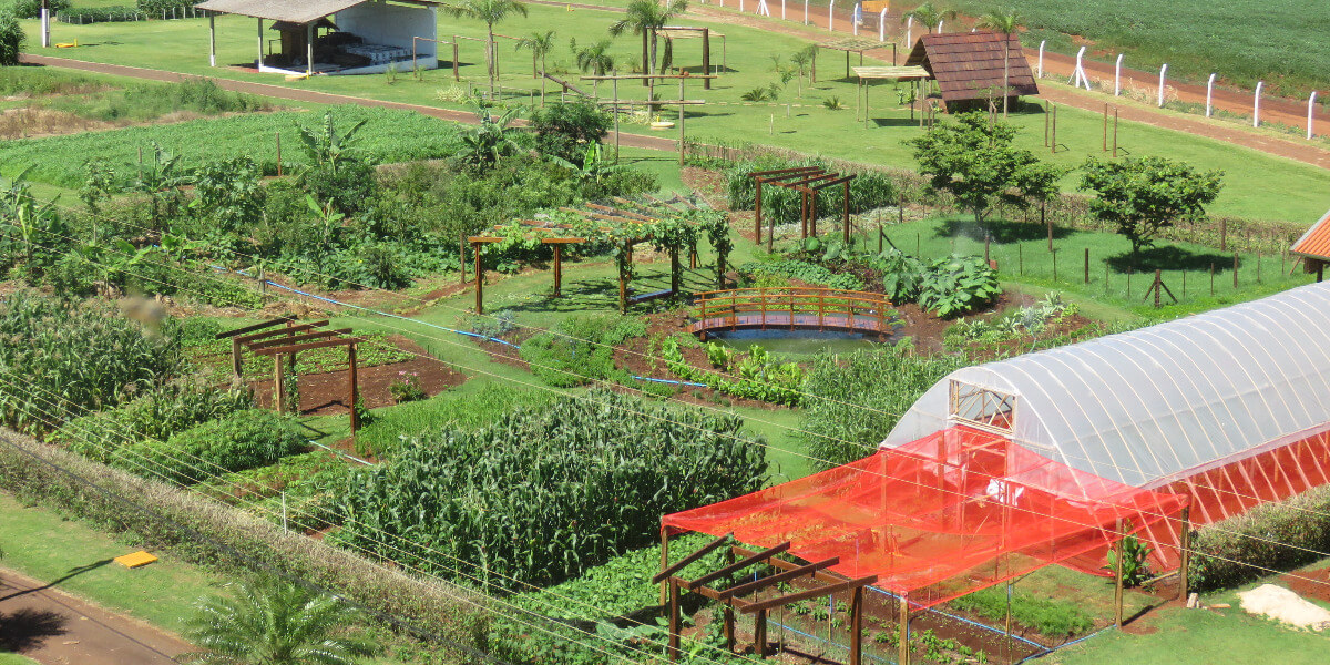 Diversidade da produção rural