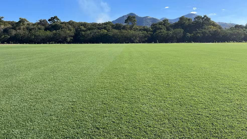 Aplicações da energia no rural